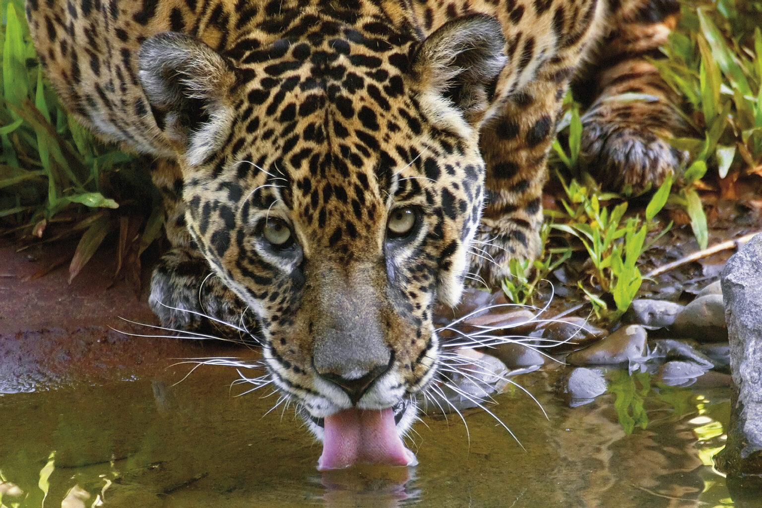 20070502DG01851-1-1536x1024