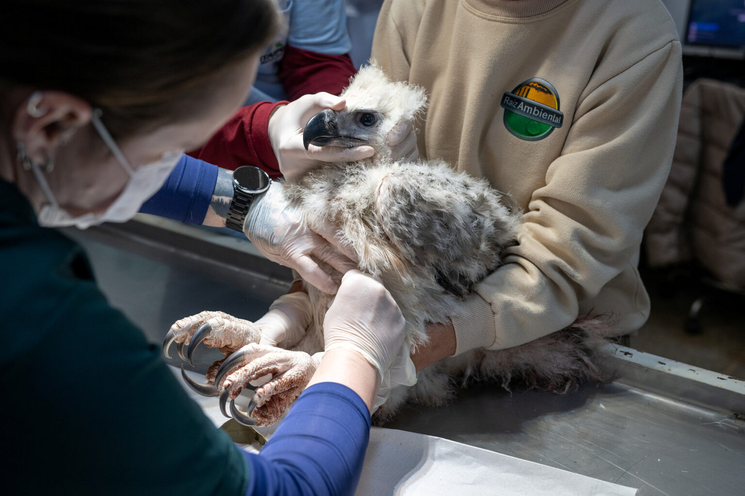 20250623WB8630-1536x1024