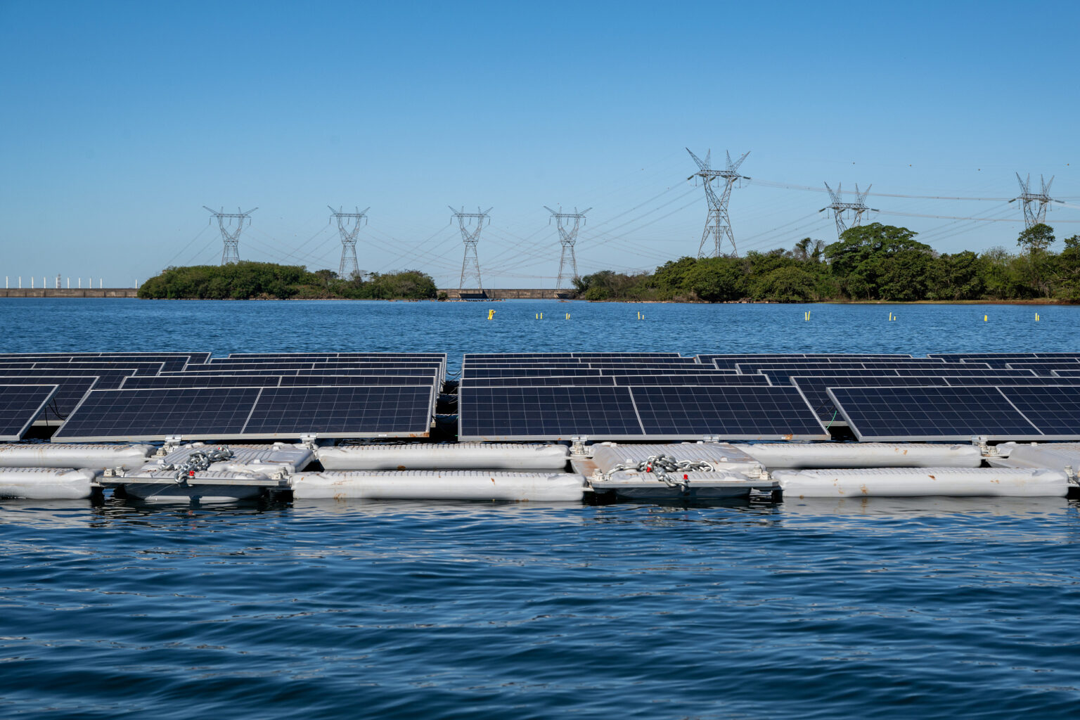 20250910WB3508-1536x1024